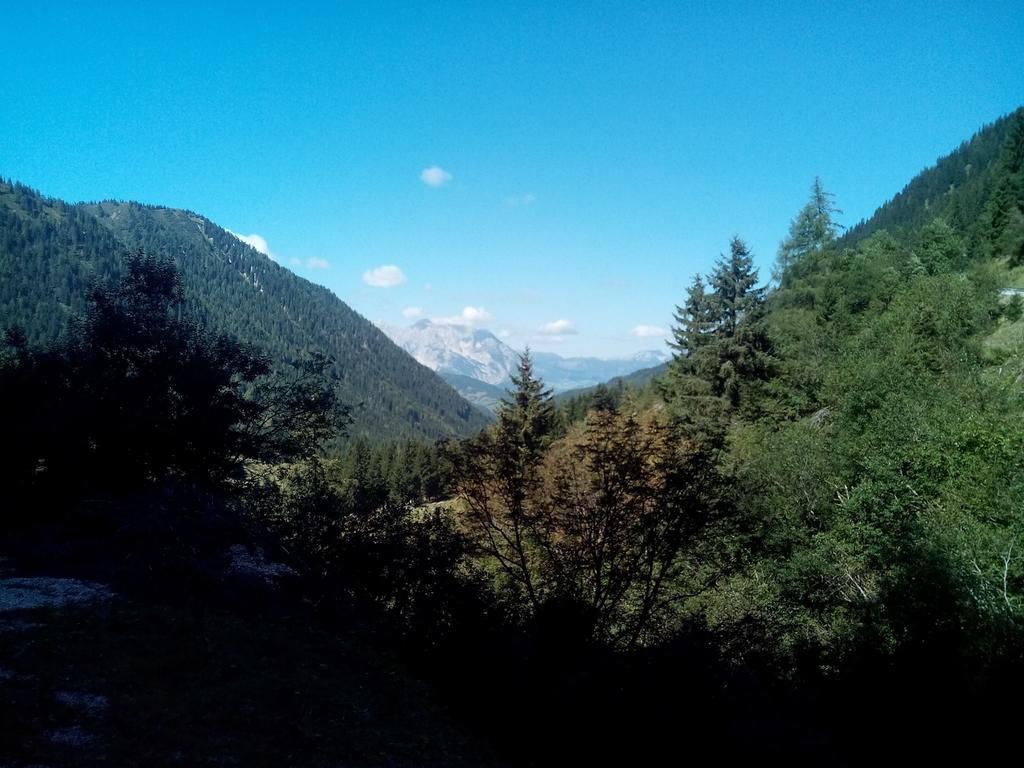 Gasthof Murauerhof 호텔 Sankt Peter am Kammersberg 외부 사진